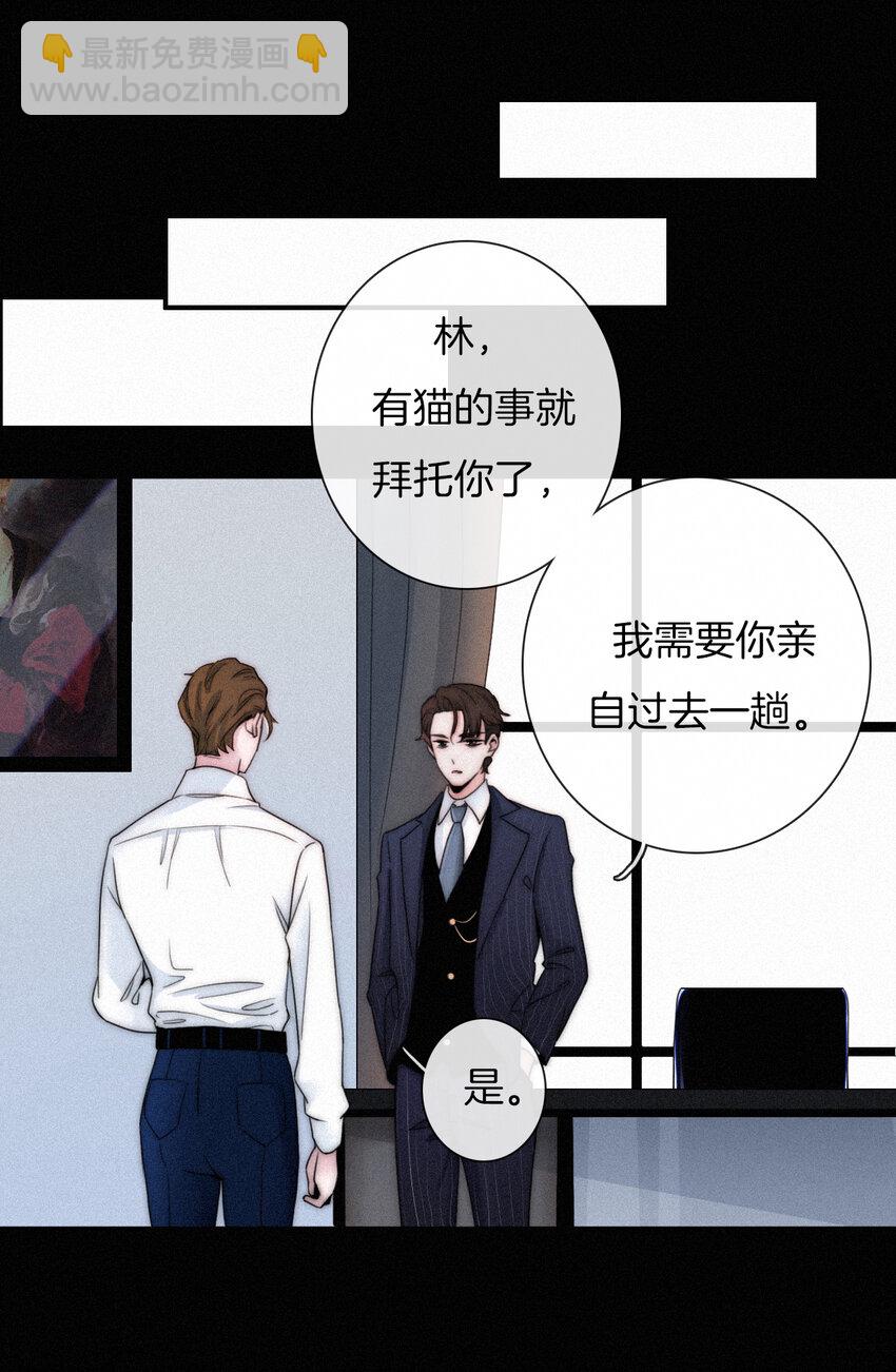 《有猫的迷宫》001 主播、绑架 第34页