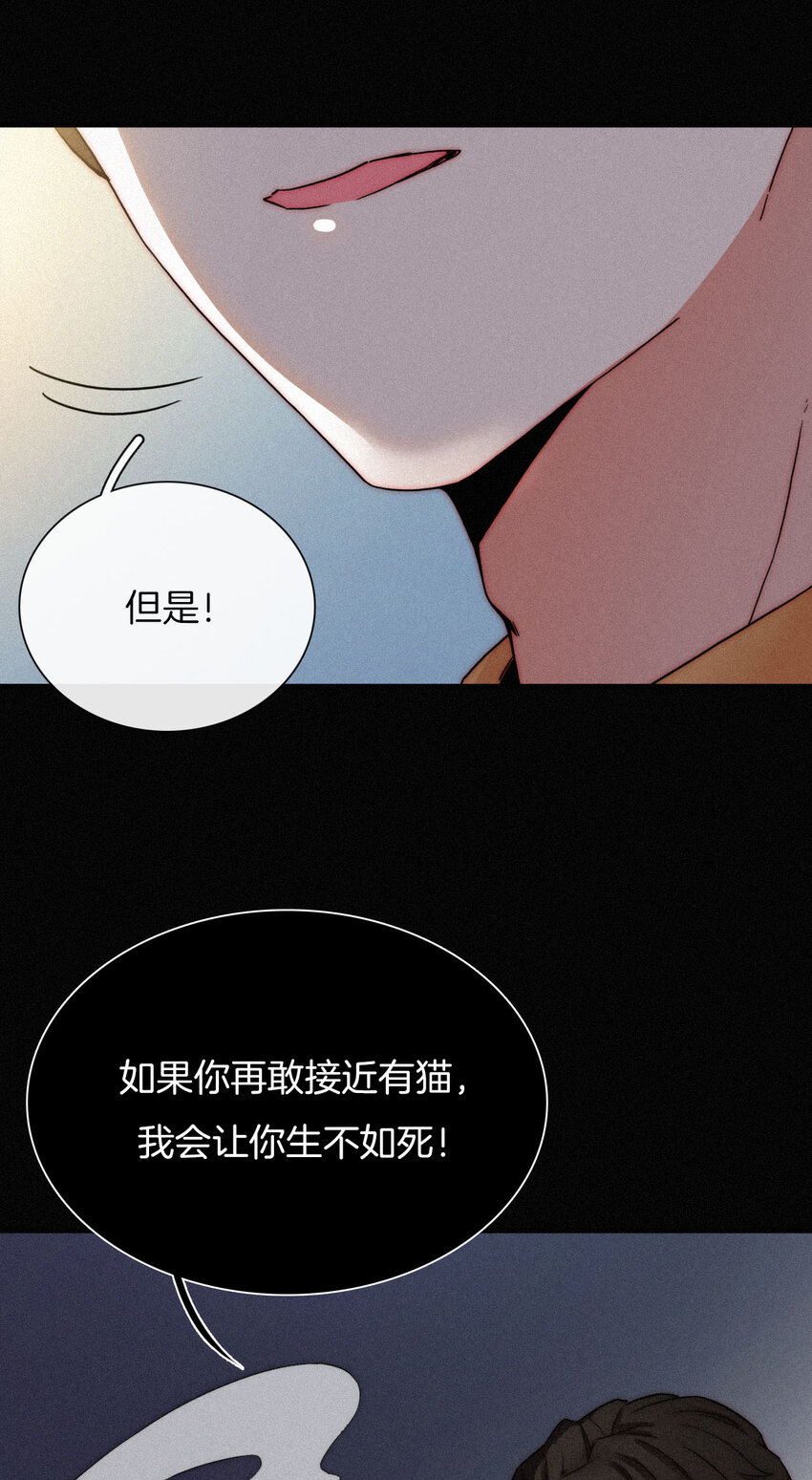 《有猫的迷宫》010 死亡、乐园 第38页