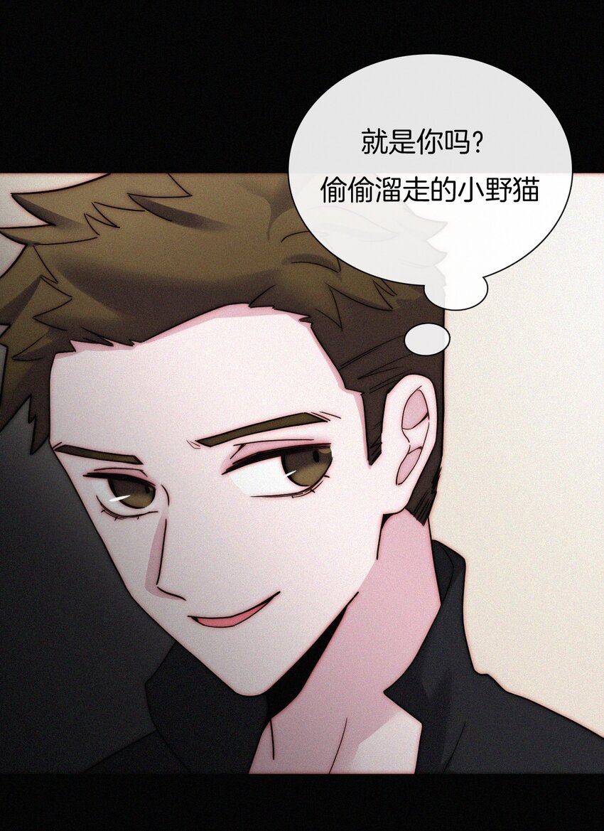 《有猫的迷宫》023 偶像、小野猫 第11页