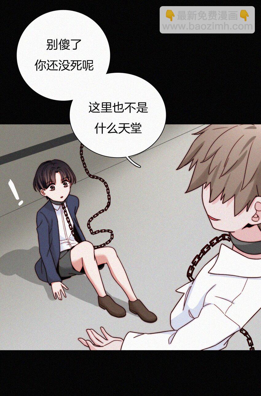 《有猫的迷宫》025 英雄、囚徒 第41页