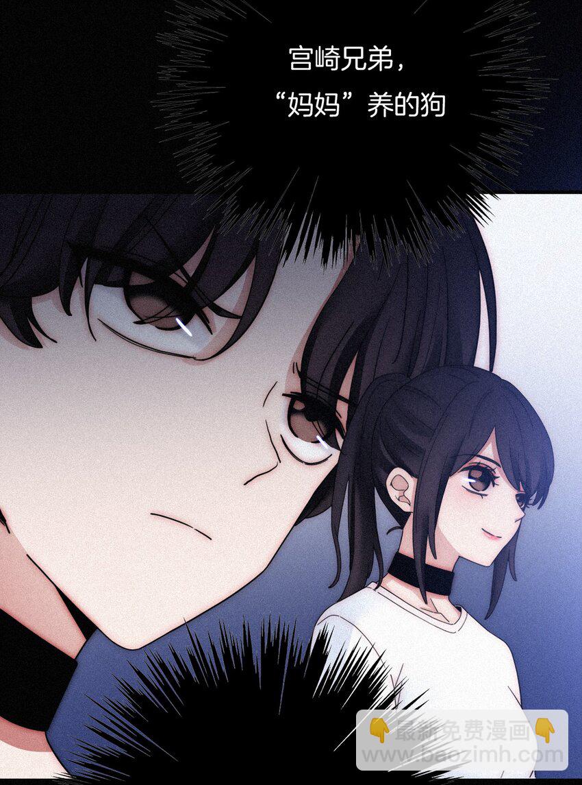 《有猫的迷宫》032 绯闻、热搜 第37页