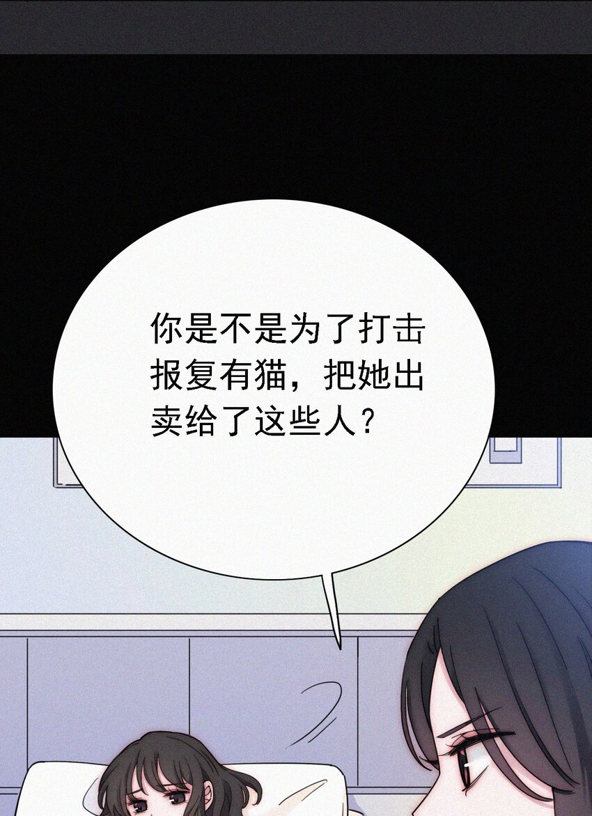 《有猫的迷宫》037 鱼饵、反击 第40页