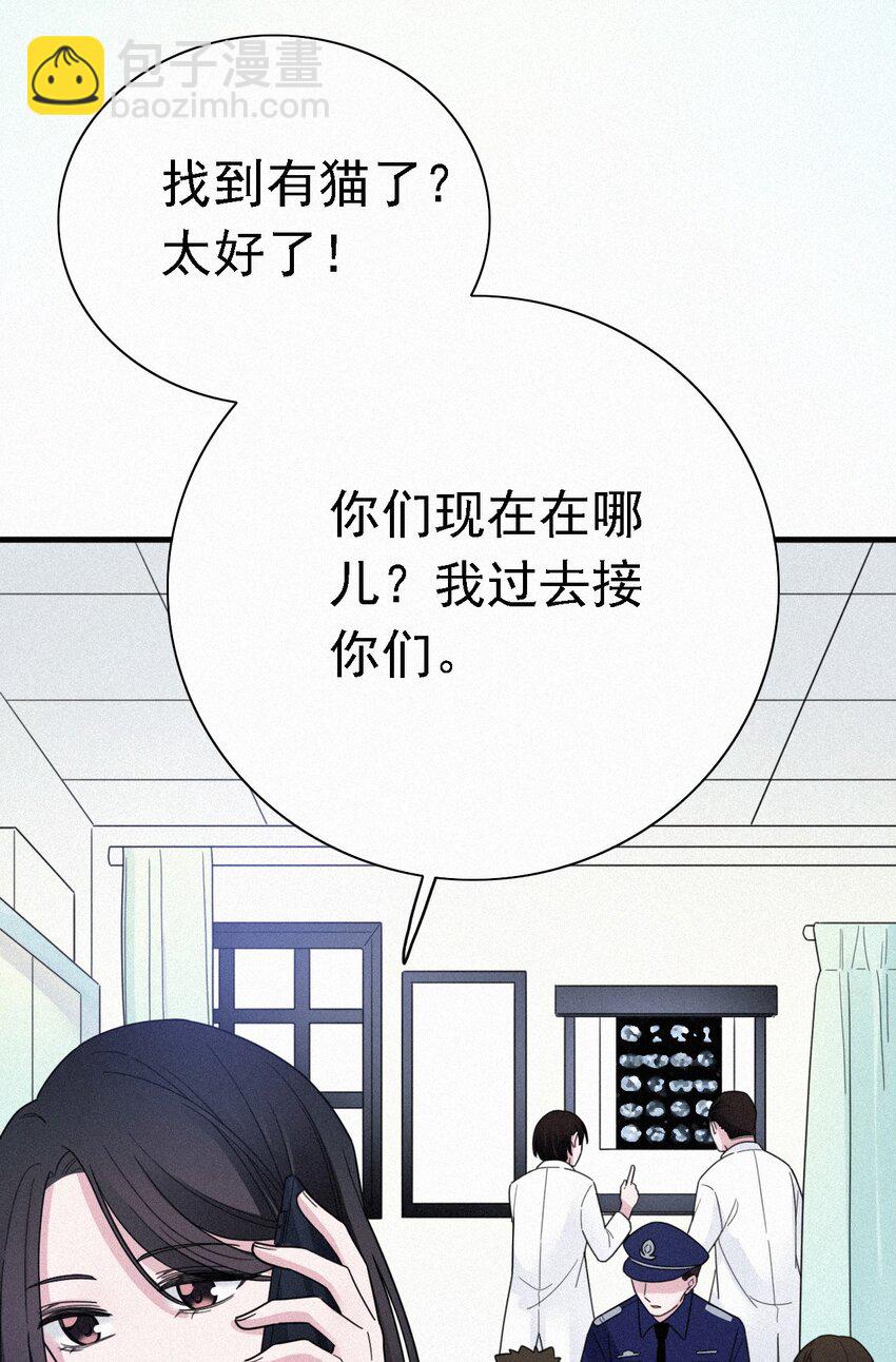 《有猫的迷宫》041 两不、相欠 第11页