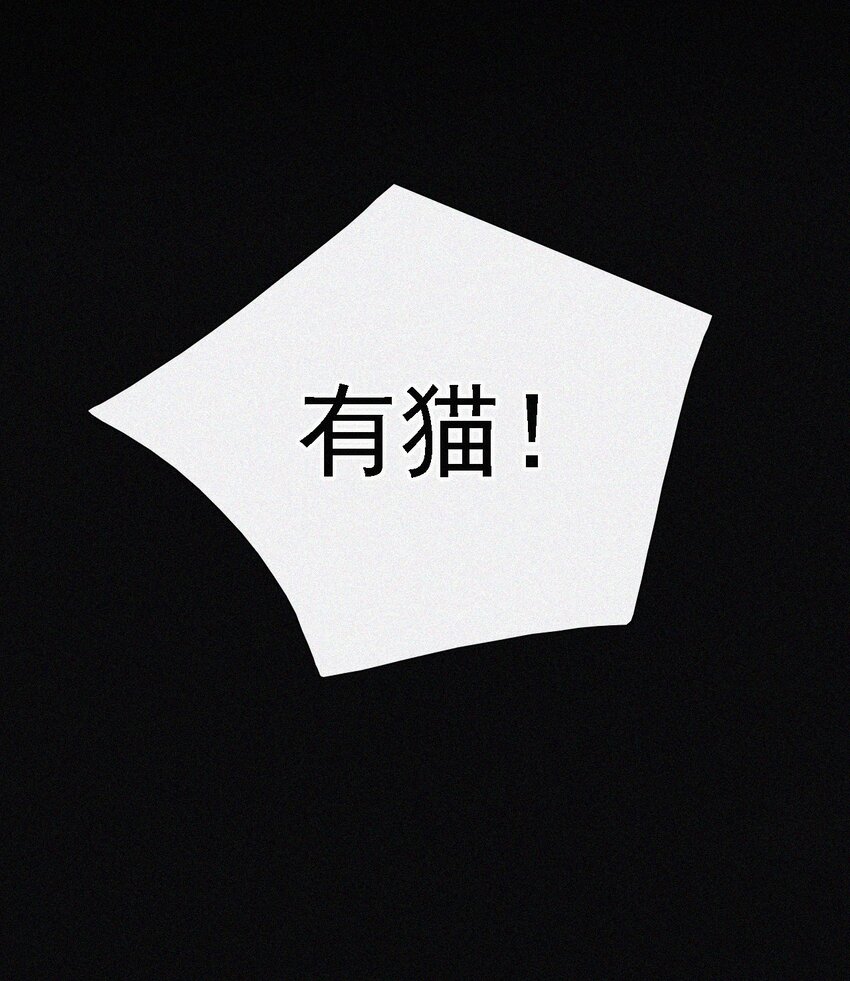 《有猫的迷宫》039 波利、呼唤 第13页