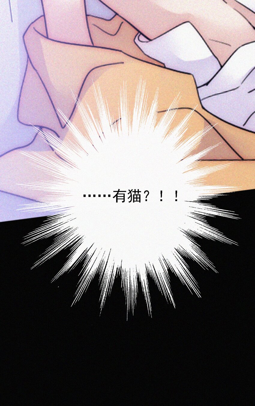 《有猫的迷宫》052 层层的交织 第33页