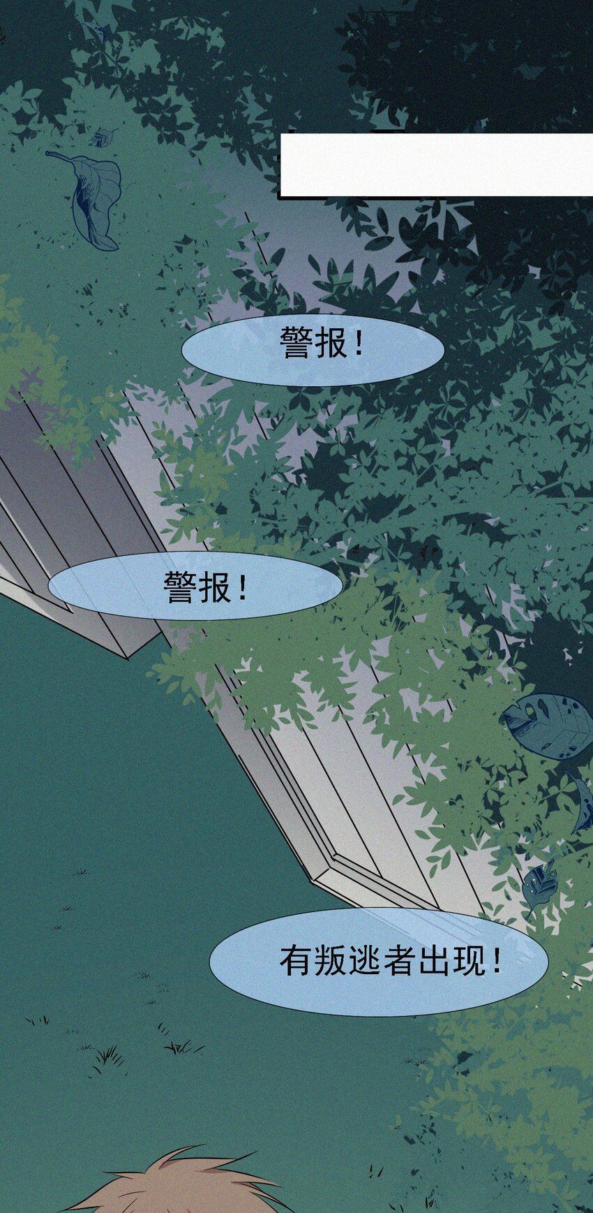《有猫的迷宫》052 层层的交织 第5页