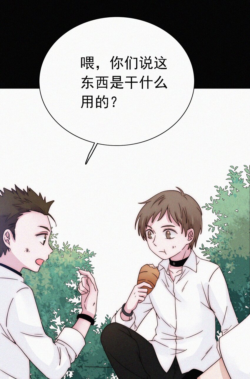 《有猫的迷宫》051 高墙、小鸟 第15页