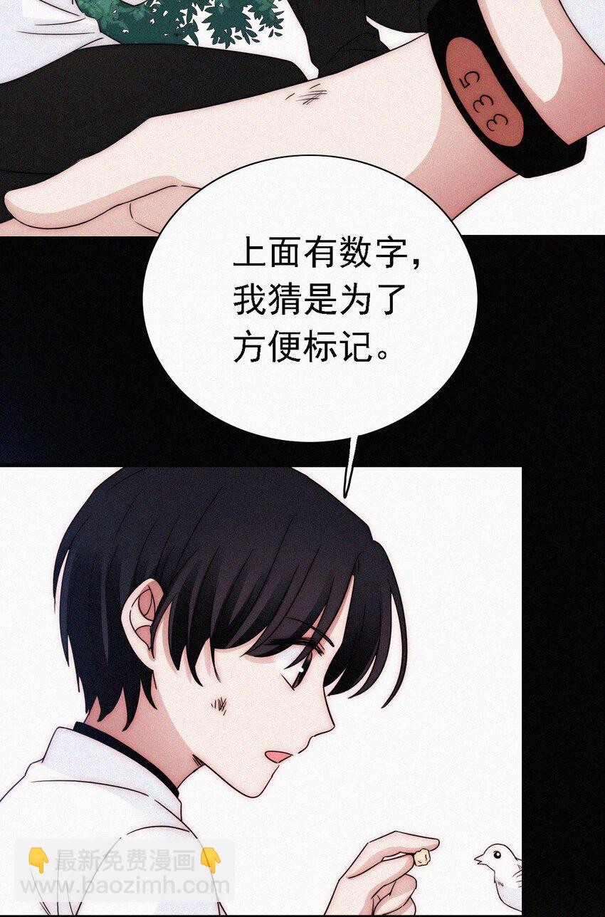 《有猫的迷宫》051 高墙、小鸟 第16页
