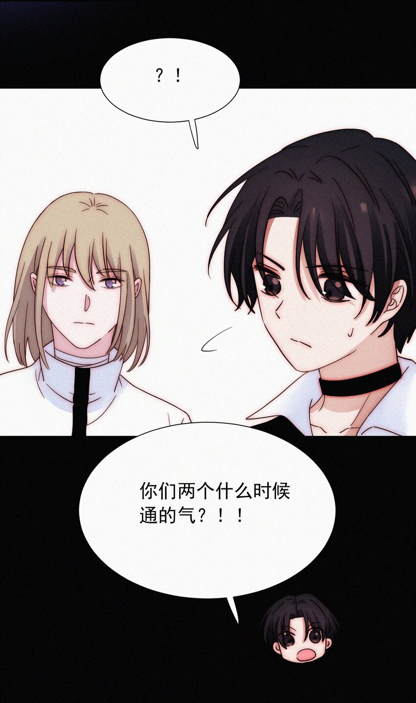 《有猫的迷宫》067 赌一把 第7页