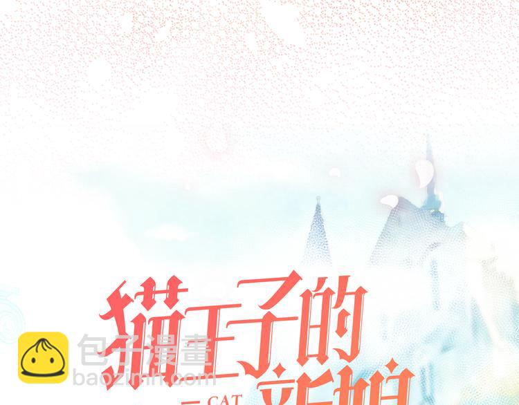 《猫王子的新娘》序章 遇见异瞳猫王子 第48页