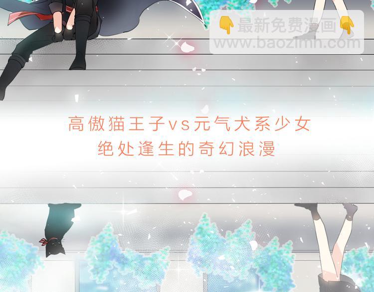 《猫王子的新娘》序章 遇见异瞳猫王子 第50页