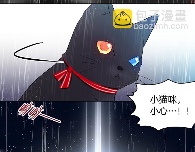 《猫王子的新娘》序章 遇见异瞳猫王子 第8页
