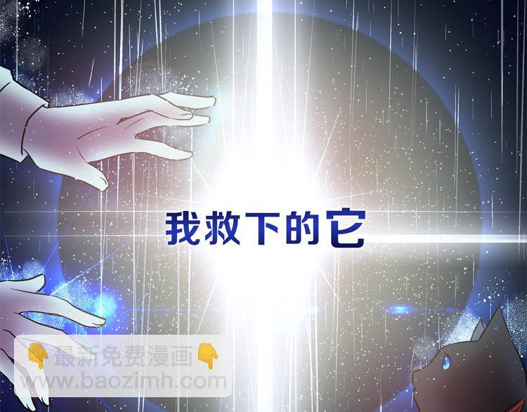 《猫王子的新娘》序章 遇见异瞳猫王子 第9页