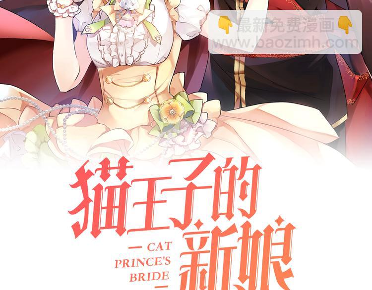《猫王子的新娘》第1+2话 你好小猫咪 第2页