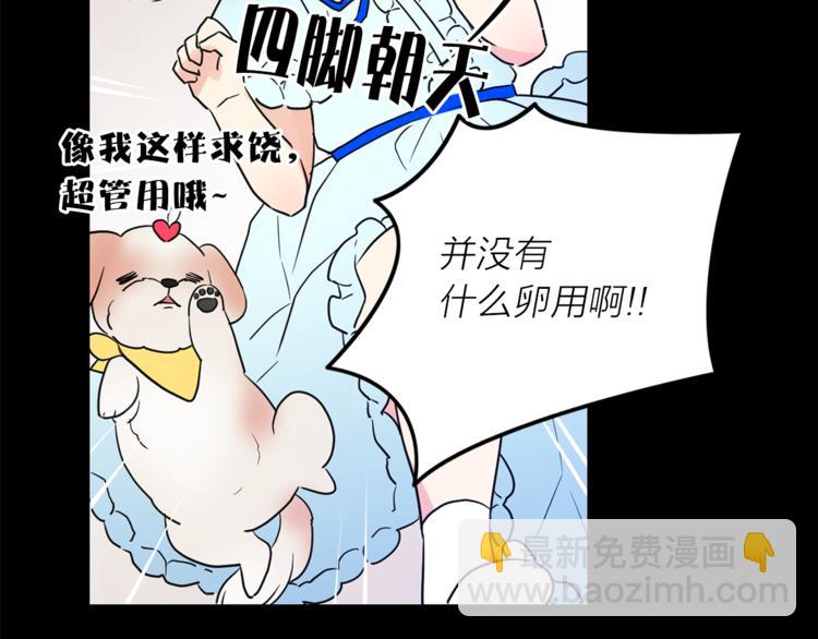 《猫王子的新娘》第1+2话 你好小猫咪 第32页