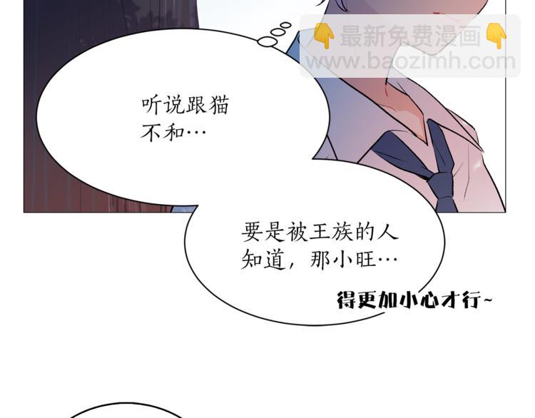 《猫王子的新娘》第7话 回到鼠村 第36页