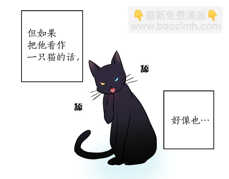 《猫王子的新娘》第10话 重寻猫王子 第41页