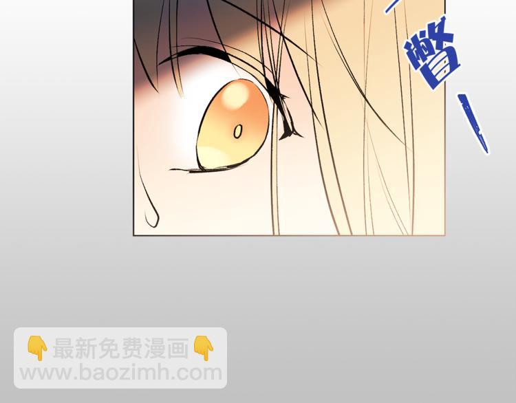 《猫王子的新娘》第12话 新娘的传言 第42页