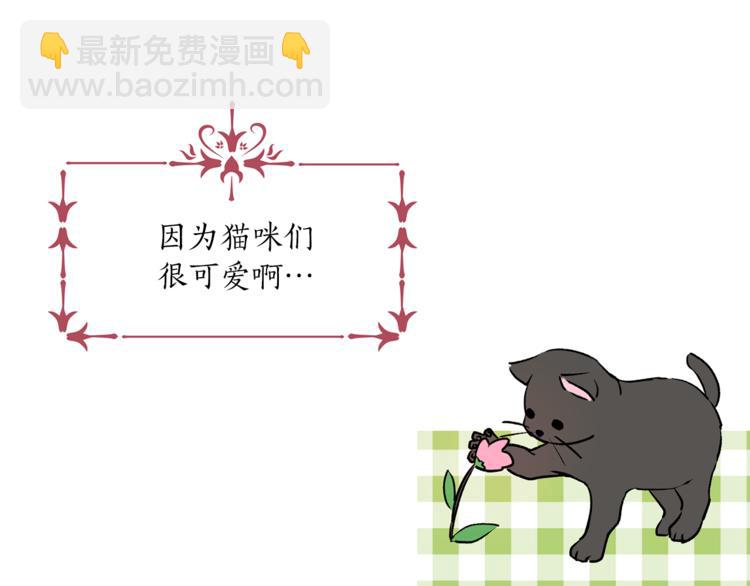 《猫王子的新娘》第13话 可恶的猫咪！ 第13页