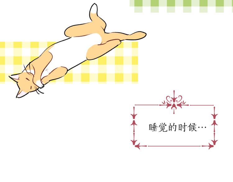 《猫王子的新娘》第13话 可恶的猫咪！ 第14页
