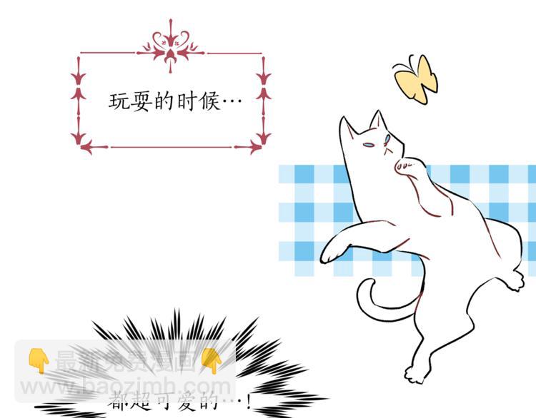《猫王子的新娘》第13话 可恶的猫咪！ 第15页