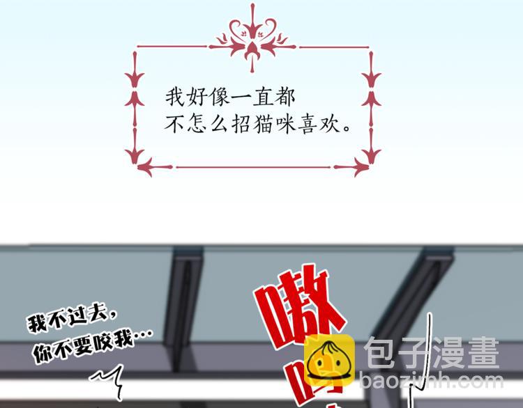 《猫王子的新娘》第13话 可恶的猫咪！ 第7页