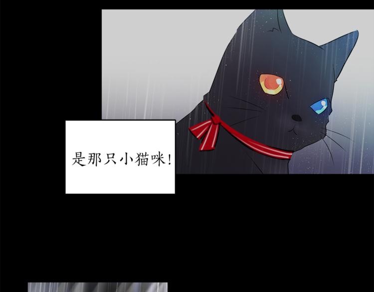 《猫王子的新娘》第24话 不准靠近 第48页