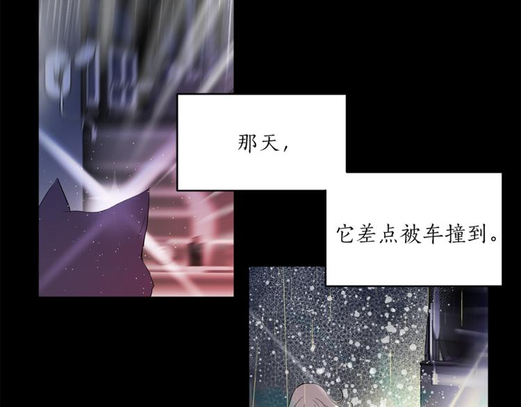 《猫王子的新娘》第24话 不准靠近 第49页
