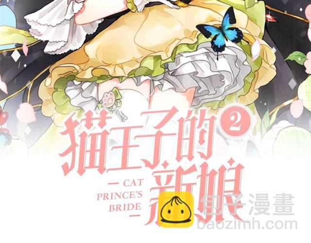 《猫王子的新娘》第8话 赌约 第2页