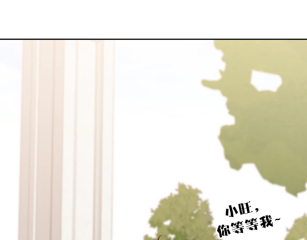 《猫王子的新娘》第41话 茶会事故 第9页