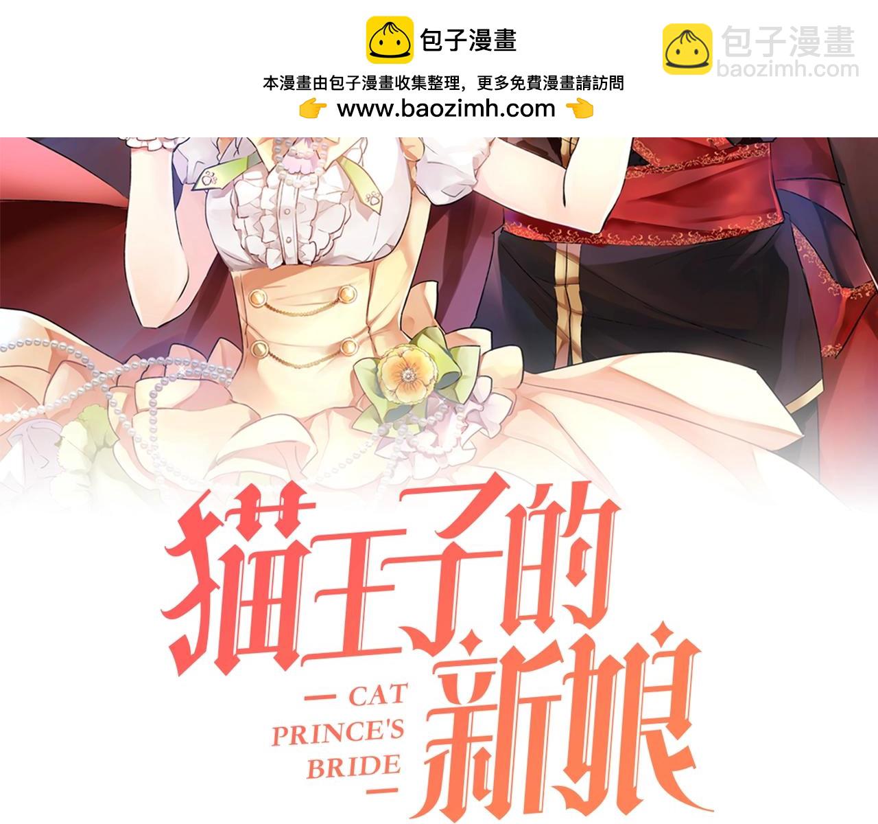 《猫王子的新娘》第42话 威胁 第2页