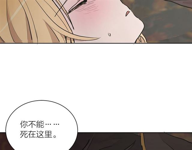 《猫王子的新娘》第11话 落水 第41页