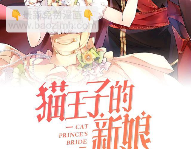 《猫王子的新娘》第44话 听您指挥！ 第2页