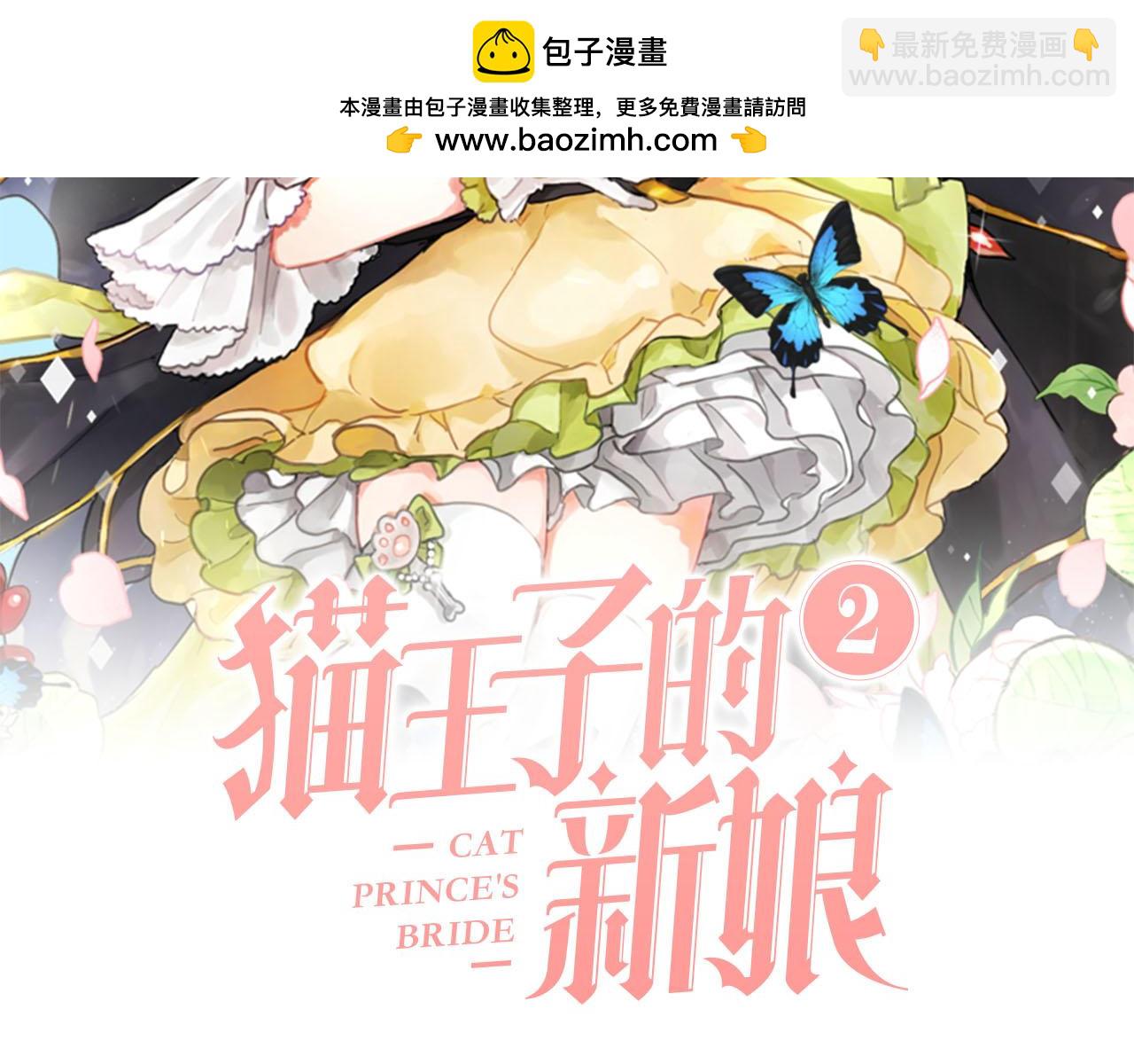《猫王子的新娘》第13话 奇怪 第2页