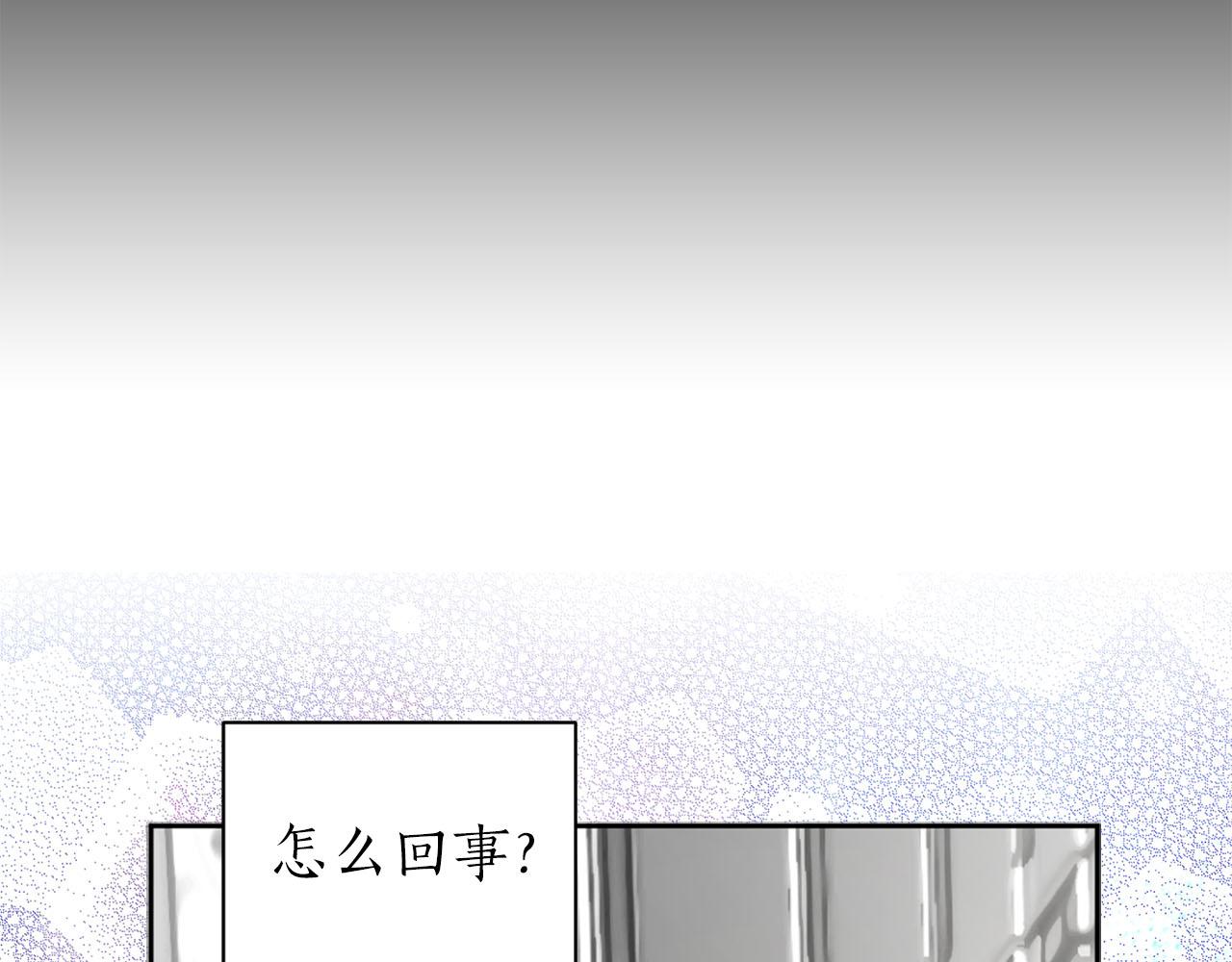 《猫王子的新娘》第14话 他喜欢我？ 第17页