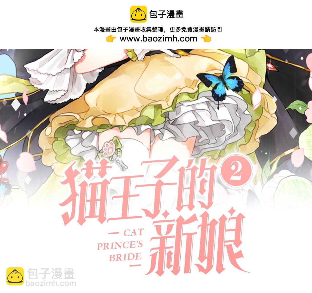 《猫王子的新娘》第22话 收到礼物 第2页