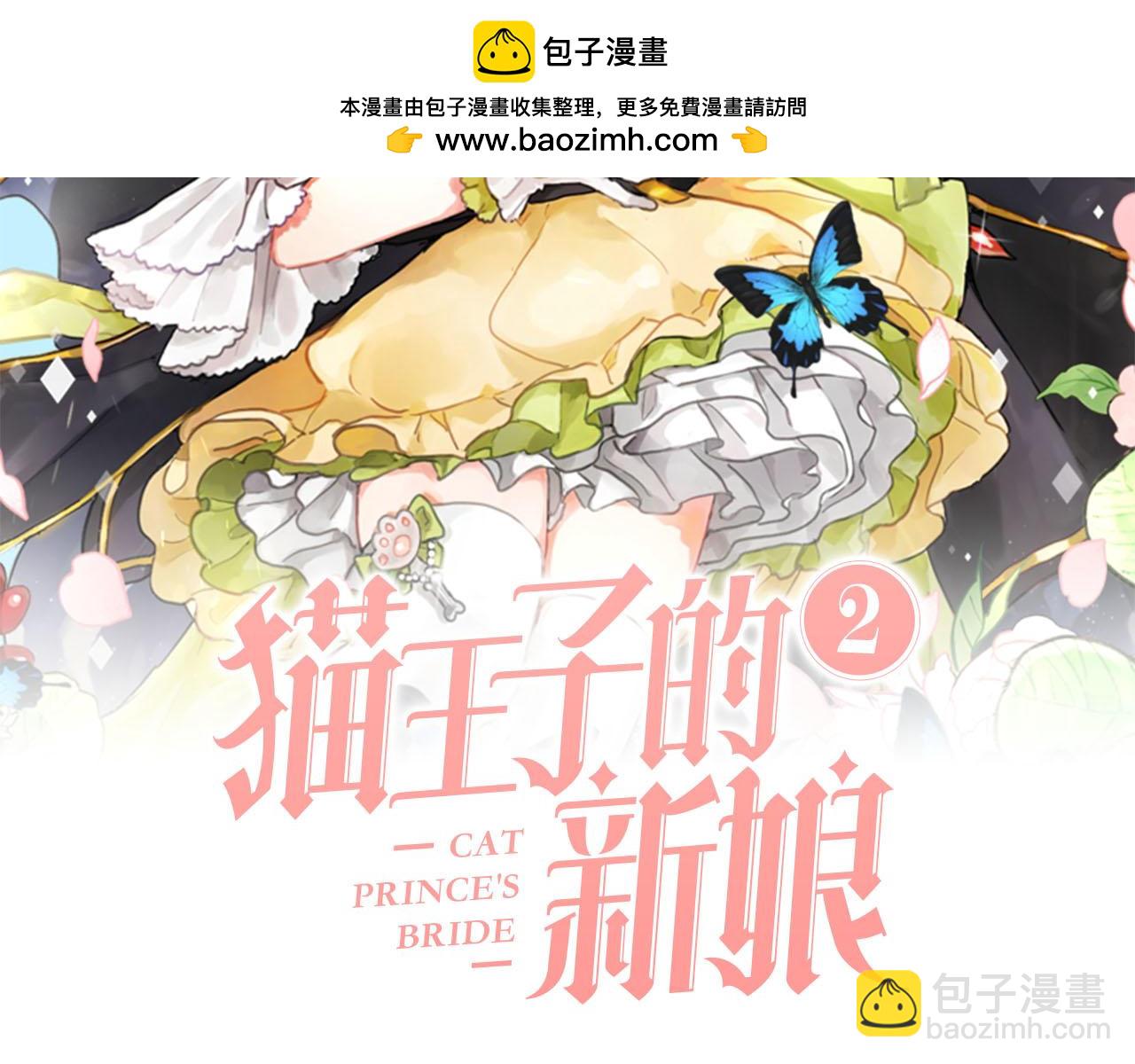 《猫王子的新娘》第34话 正面交锋 第2页