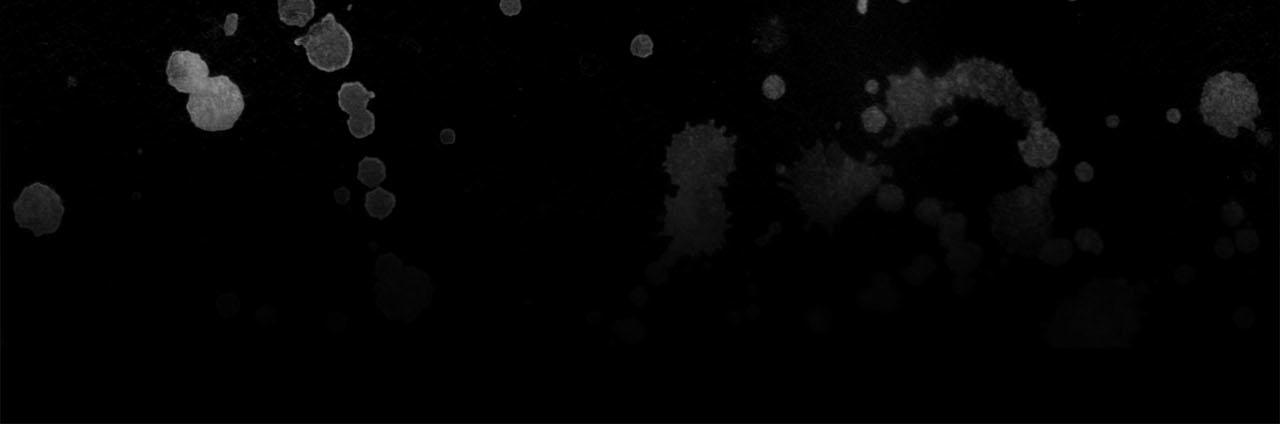 《猫王子的新娘》第33话 找到他了！ 第47页