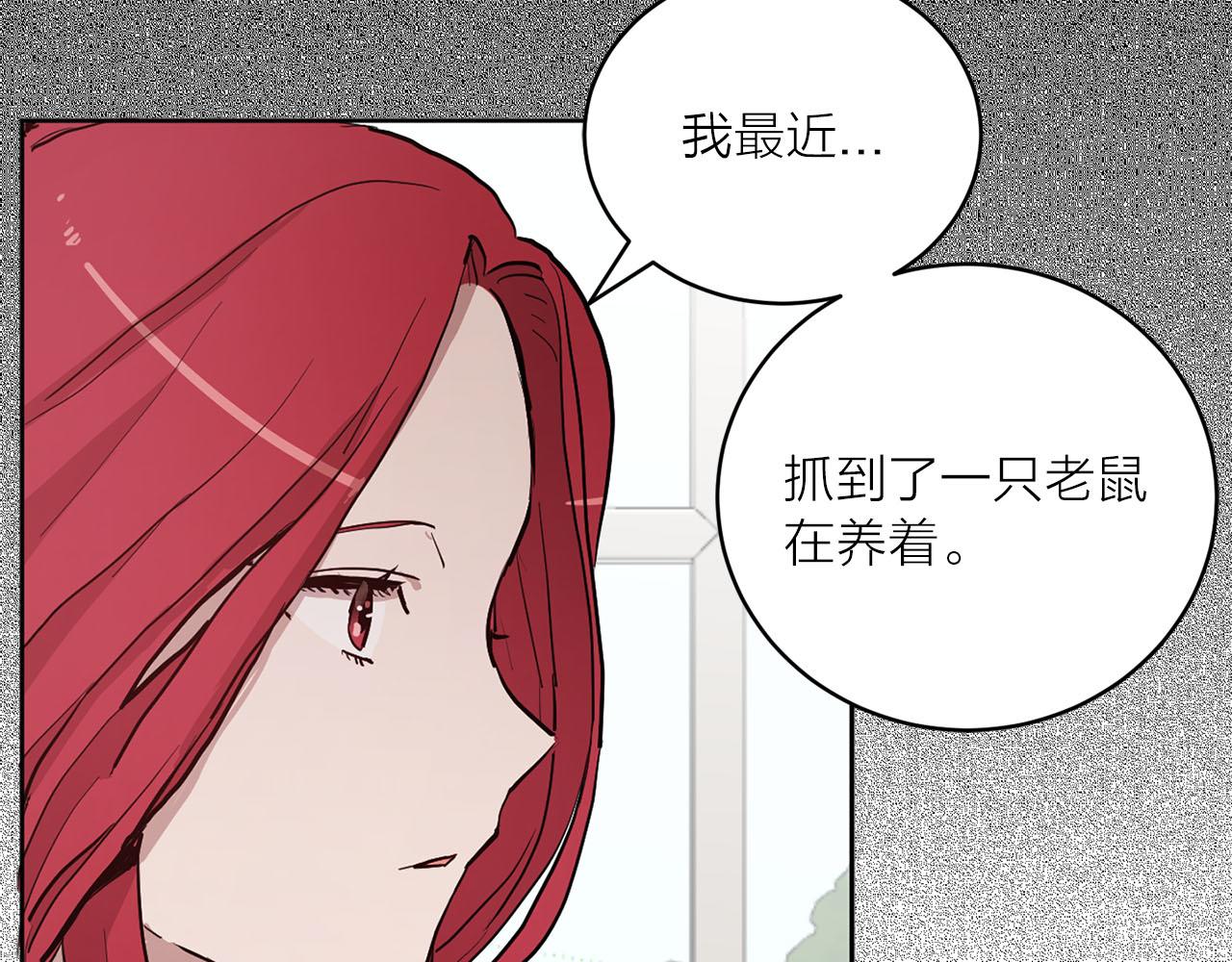 《猫王子的新娘》第35话 指证 第16页