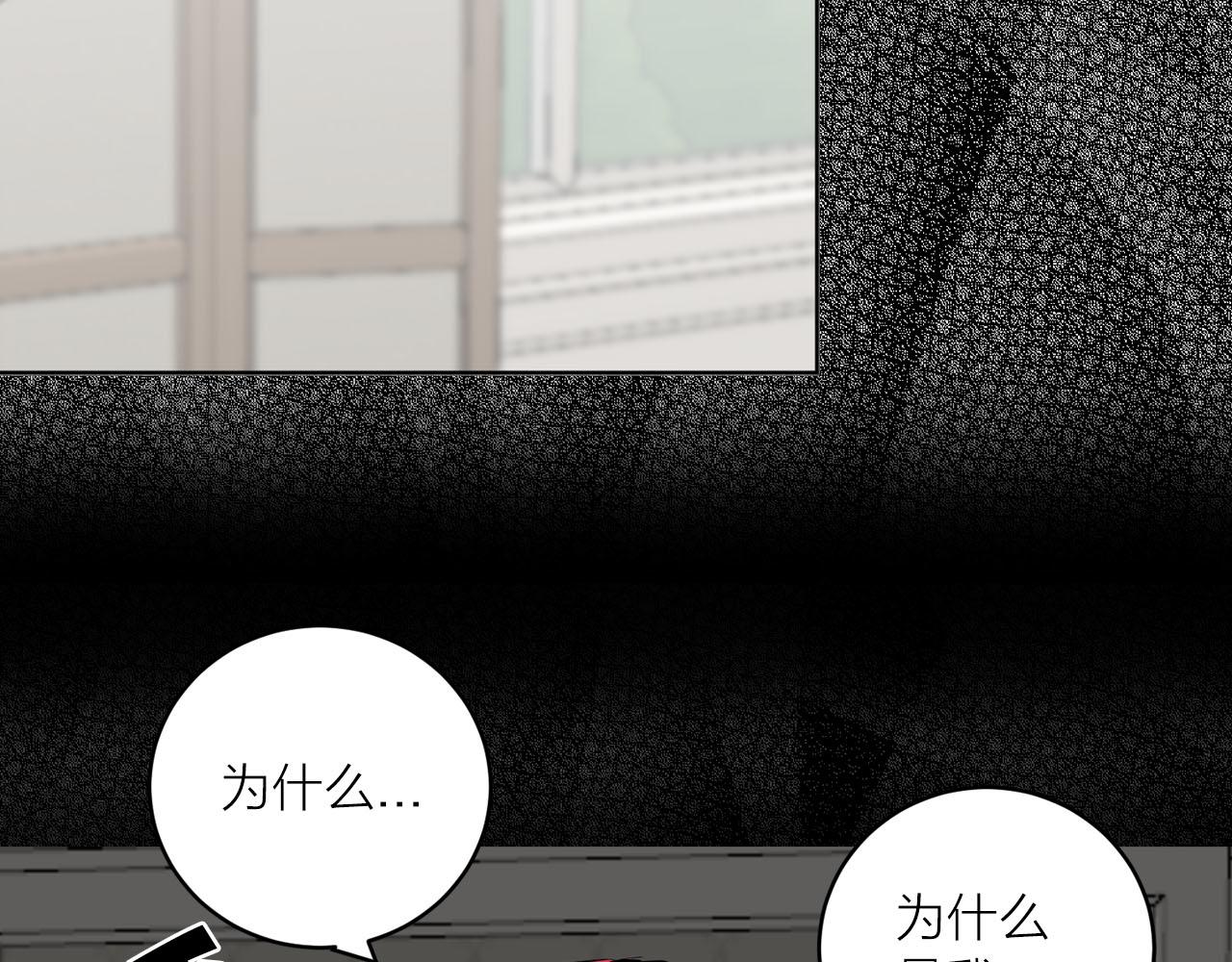 《猫王子的新娘》第36话 大快人心 第15页