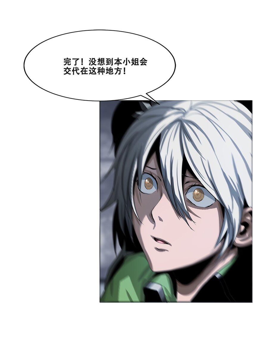 《进化之刃——独自踏向地下城的进阶之路》017 双形态猎人 第30页
