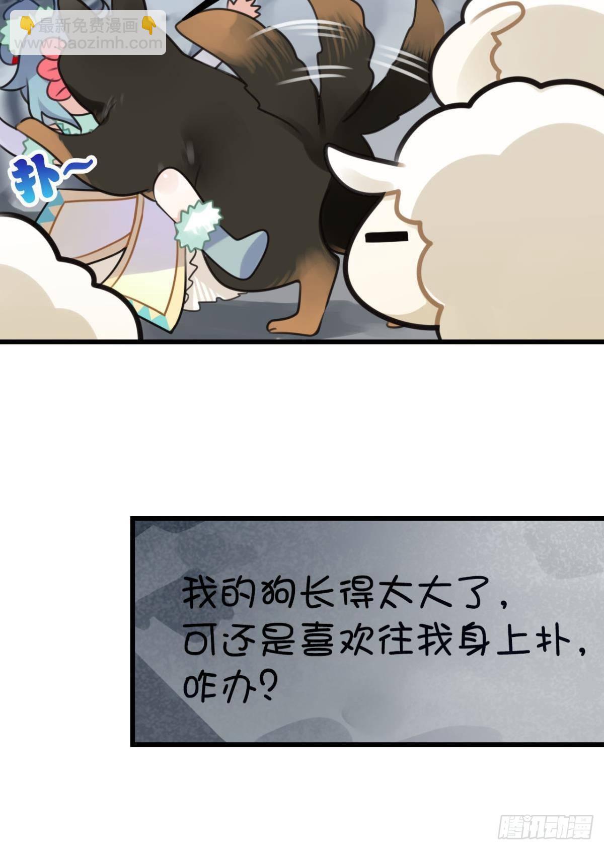 《这届和亲的公主不行》走错帐篷的熊先生 第6页