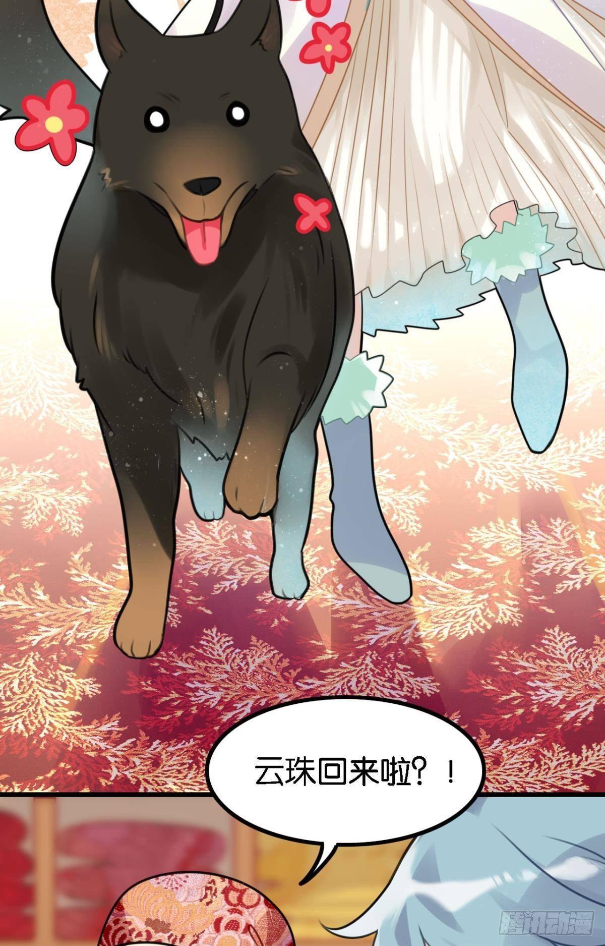 《这届和亲的公主不行》走错帐篷的熊先生 第8页