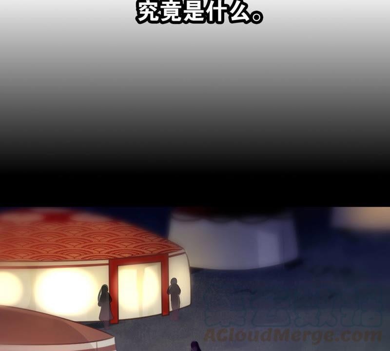 《这届和亲的公主不行》公主殿下的两幅面孔 第21页