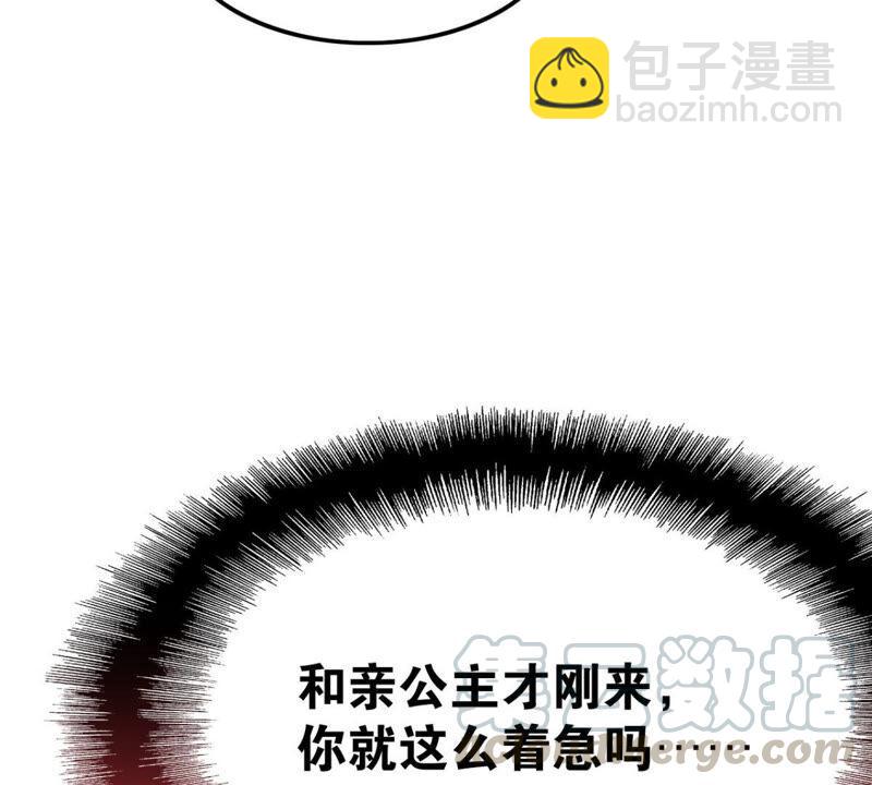《这届和亲的公主不行》来自异域的公主 第45页