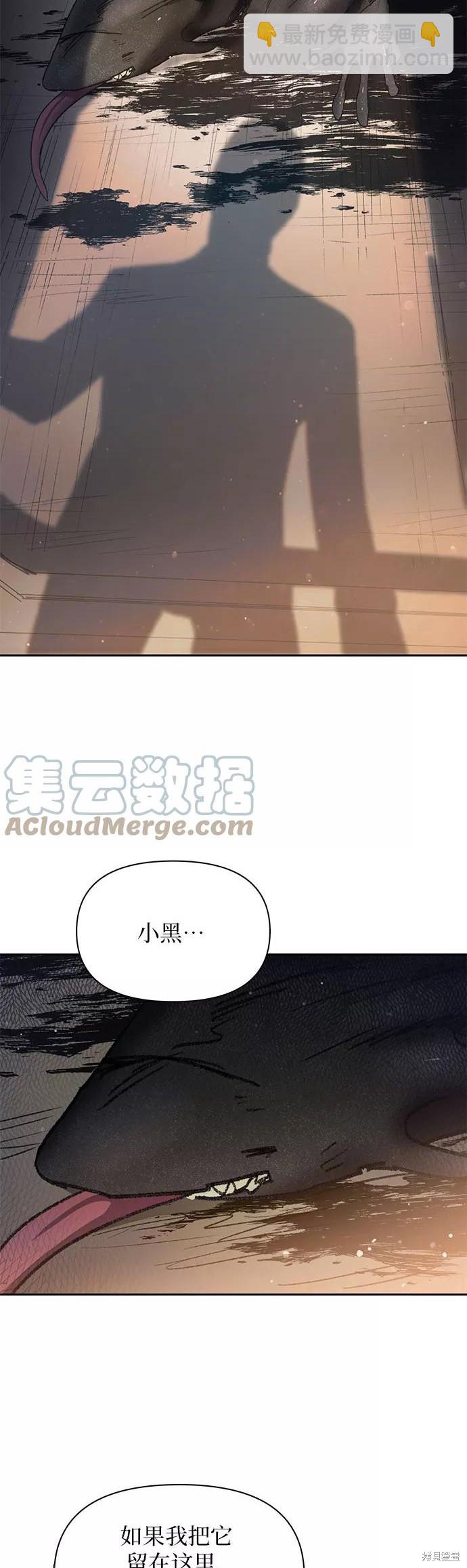 《我培养的S级们》第39话 第35页
