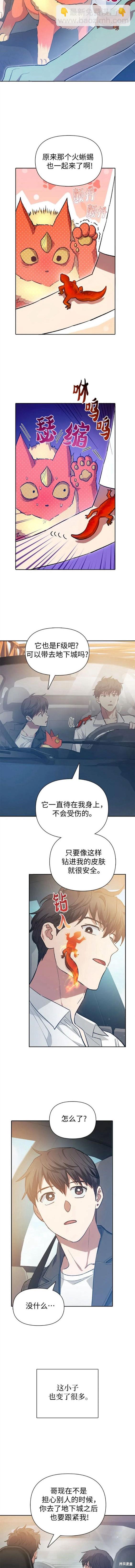 《我培养的S级们》第80话 第10页
