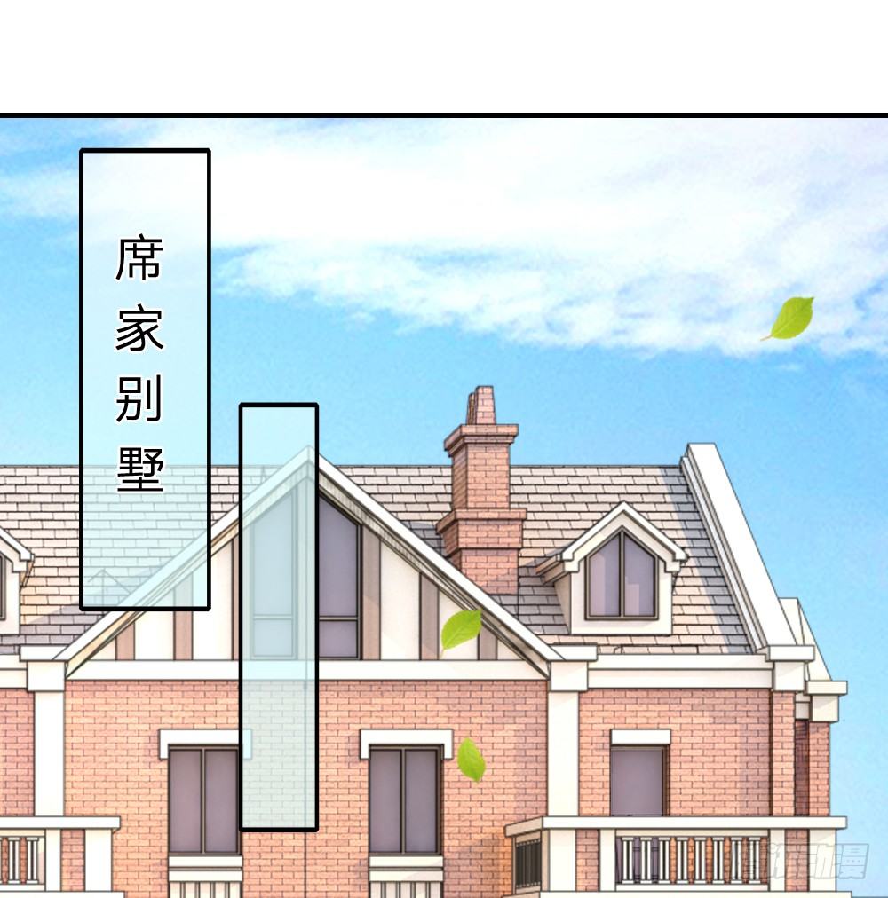 《入骨婚宠腹黑总裁的错嫁小娇妻》有钱真香 第11页