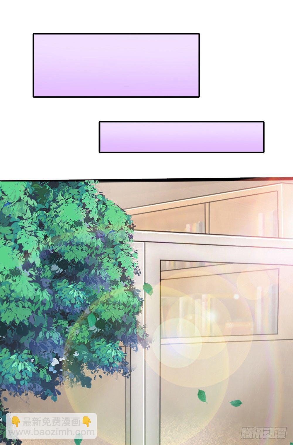 《入骨婚宠腹黑总裁的错嫁小娇妻》席怀薇要当女主 第12页
