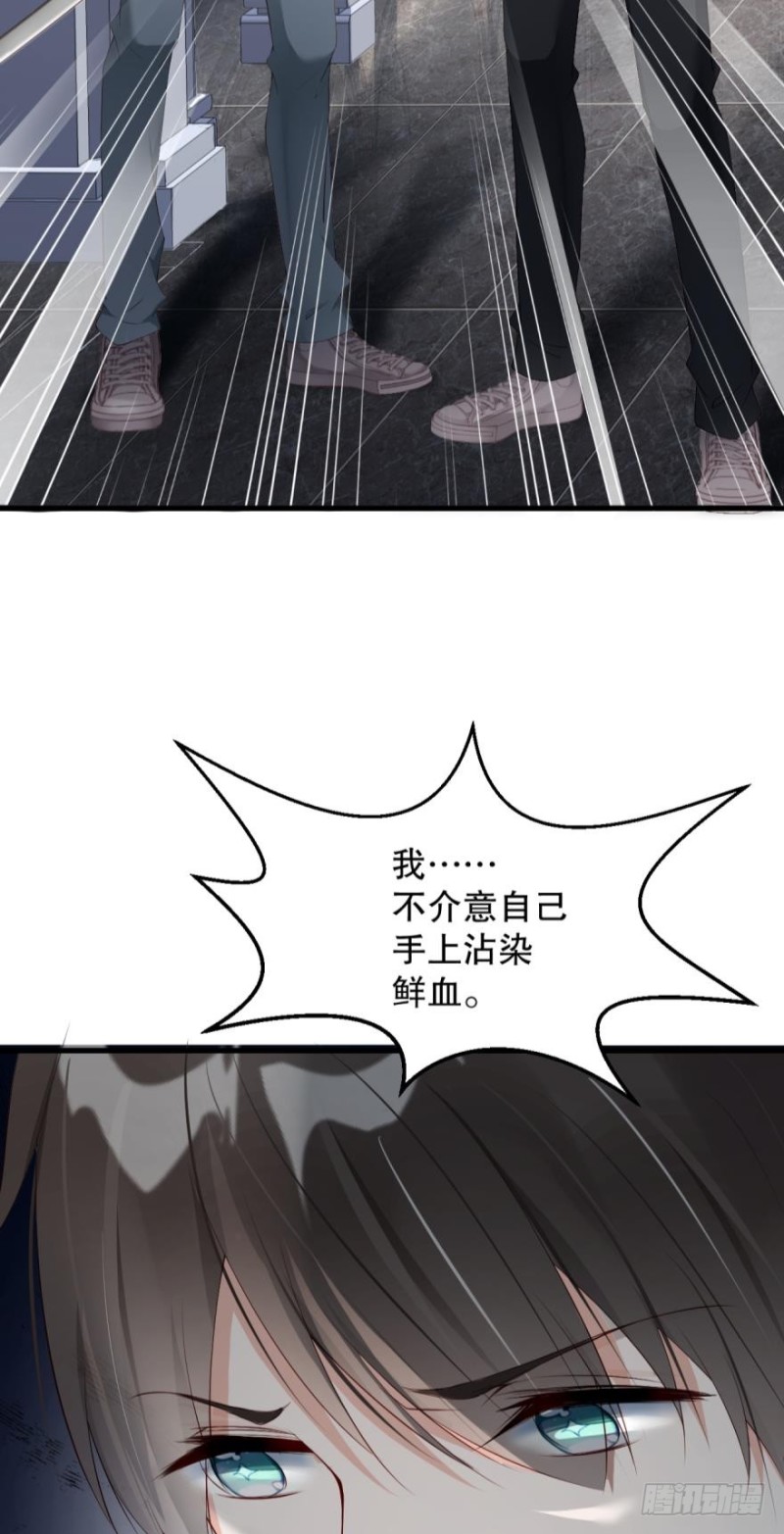 《我被嫌疑人刷屏了》将军的追杀令 第31页